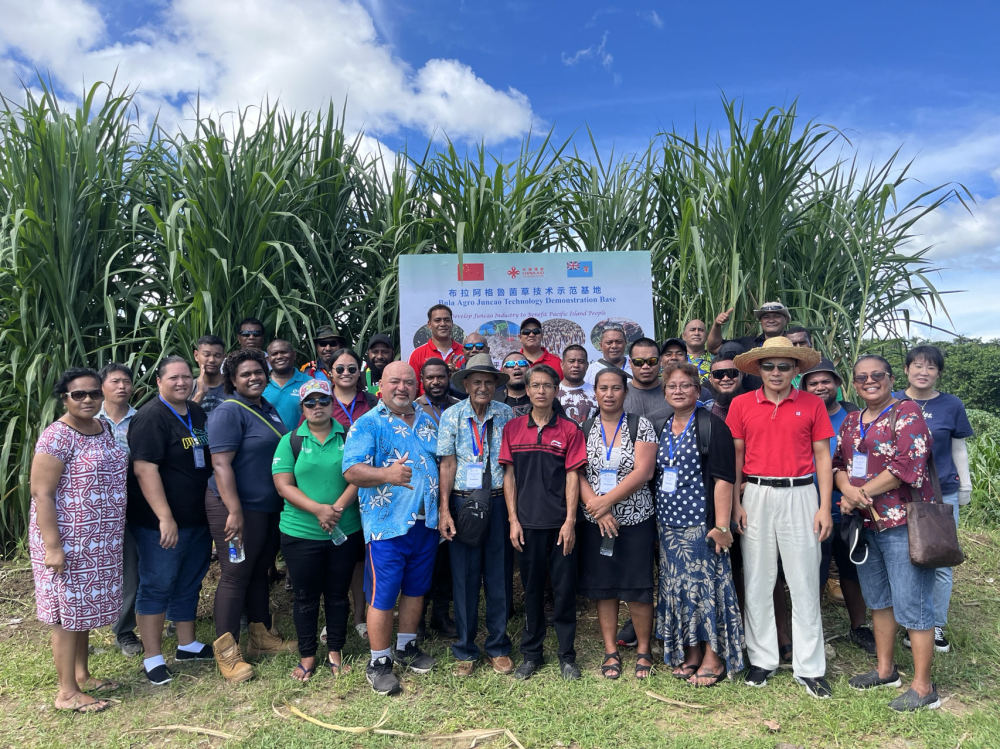 构建更加公正合理的全球治理体系——智库报告解析共建“新型全球领导力”